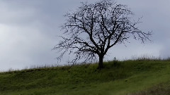 George Frideric Handel K and K Impressions