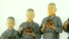 木鱼与金鱼