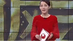 <娱乐星天地> 刘德华,李宇春 闹 新年 一老一少搭的妙
