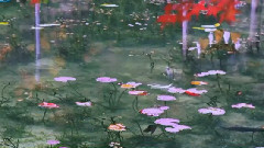 小提琴 四季 冬