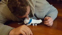 可怜可爱的兔宝宝