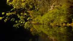 阳关三叠之田园诗人王维