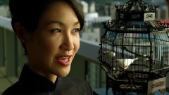 Китаец Подарок