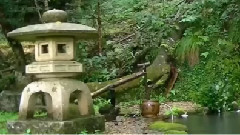 Calea Tăcerii OM Aïvanhov