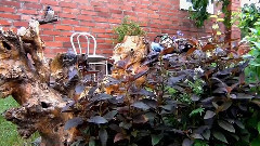 В гостях у лета. фильм Михаила Киселёва