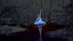 Swan Lake
