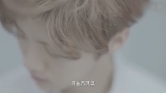 惊鸿一面