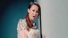 危险情人