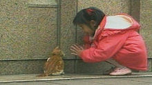 期待更多