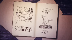 Teach Me To Fly