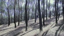 Mi Mundo Gris