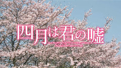 影视原声 - 映画 <四月は君の嘘> 特報