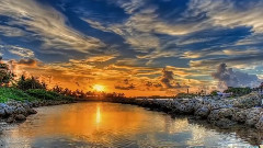 Вълшебство на природата