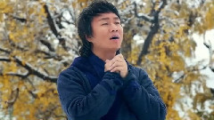 赵真 - 秋叶黄了想爹娘
