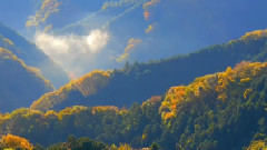 TOKYO JAPAN 秋の高尾山の紅葉