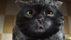 Кот который испортил Рождество!