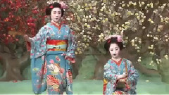 千羽千尋 京都遇見櫻花