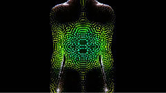 A Visual Experiment In The Transformation Of Human Skin