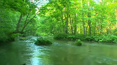 神秘园(陶笛版)