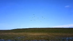 一个真实的故事