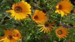 Спервым днём весны