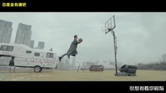 Fly