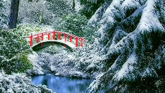 Първи сняг!