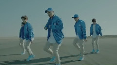Fly