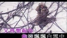陈慧娴-飘雪(伴唱)