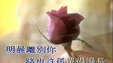 陈慧娴-千千阙歌(伴唱)