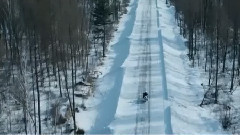雪中情
