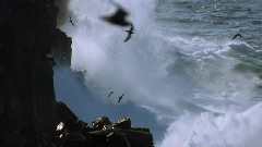 加拉帕戈斯群岛