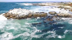 美丽的海岸加利福尼亚州蒙特雷