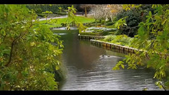 挚爱 基督城梦娜维尔花园