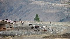 秋天在太阳山旅馆温思罗普瓦