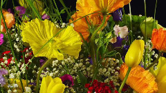 I Almost Lost My Mind