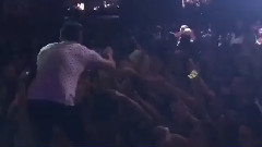 Madagascar Ao Vivo Em Limeira
