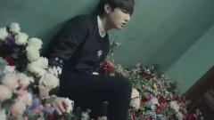 Mini小渣片