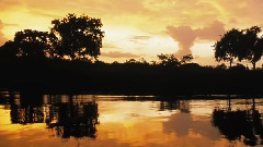 Omar Akram - Black Night