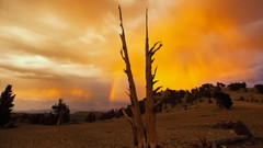 чилаут йога