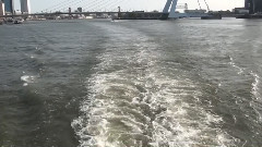 Все для тебя