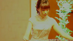 古调今弹 凤求凰