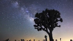 SamYung star time-lapse photography Quiet and sweet girl version of cooperation