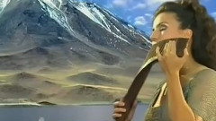 El Condor Pasa-老鹰之歌 (排笛演奏)