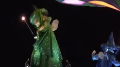 Disneyland巡演night