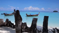 SIAM