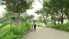 Tiramisu Band