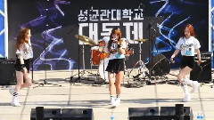 Y24song