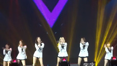 Roly Poly