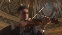 The 12 Seasons for Viola